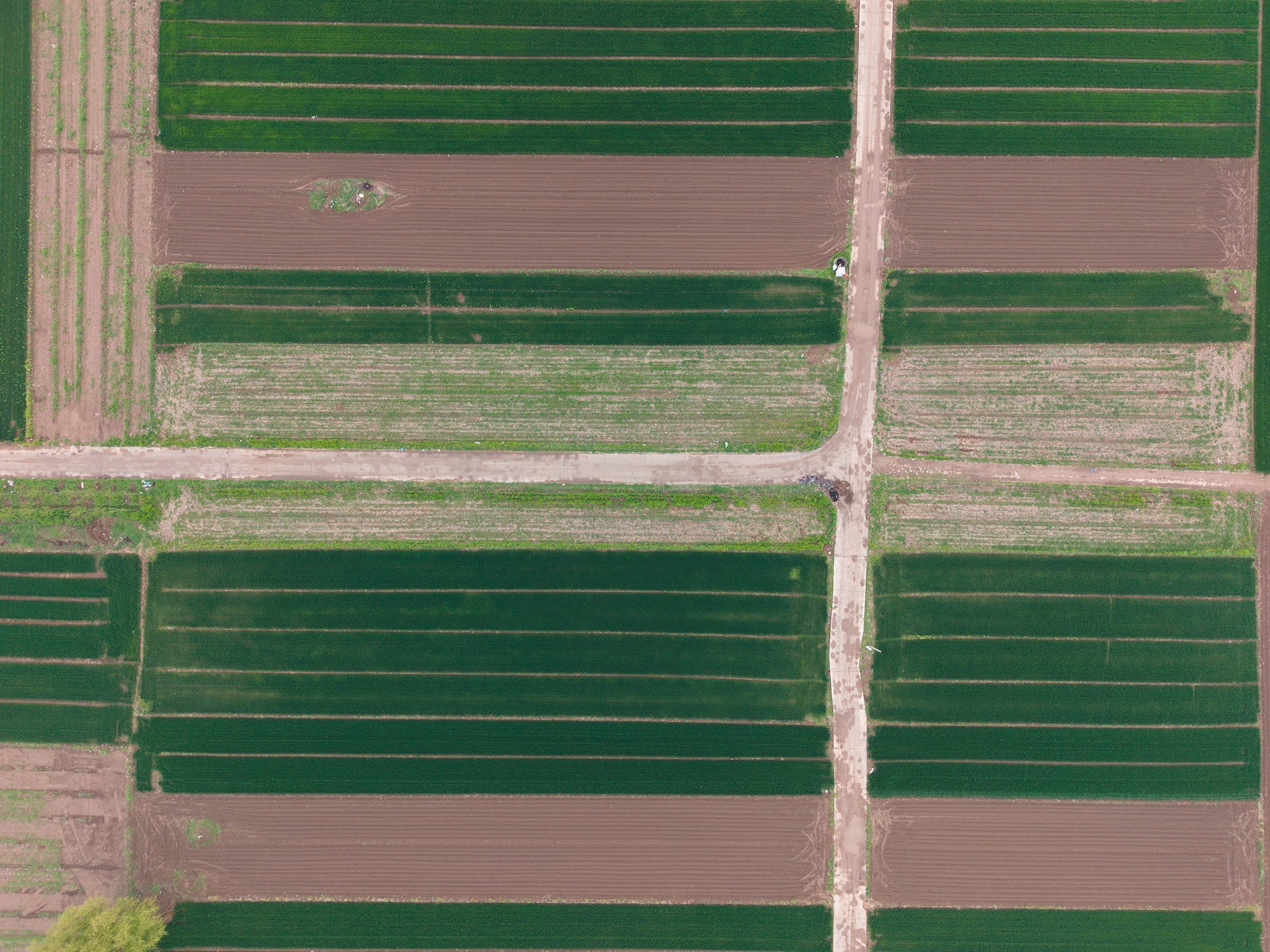 大疆DJI Lito X1/Lito 1无人机避障测试