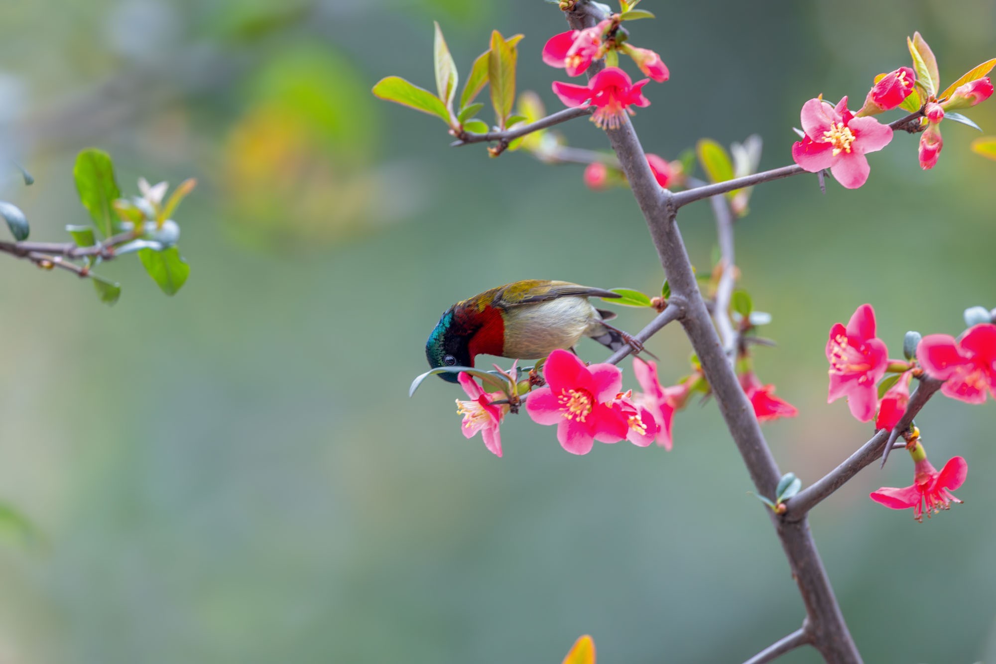 摄影师庄言Grey作品