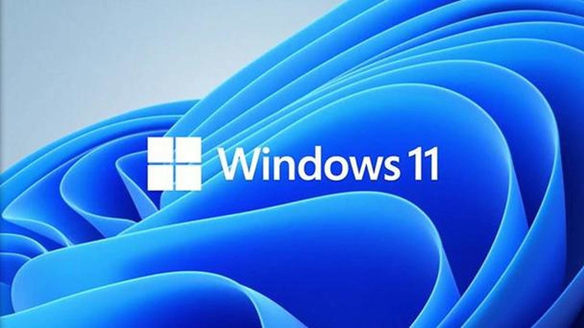 Windows 11 系统操作技巧