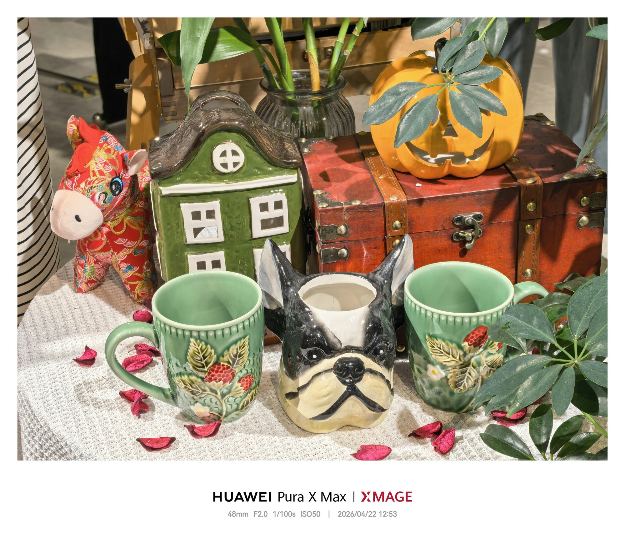 华为Pura X Max：影像样张2