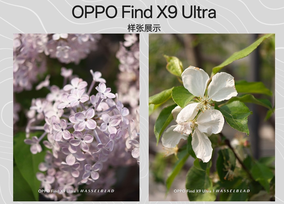 OPPO Find X9 Ultra 细节拍摄效果