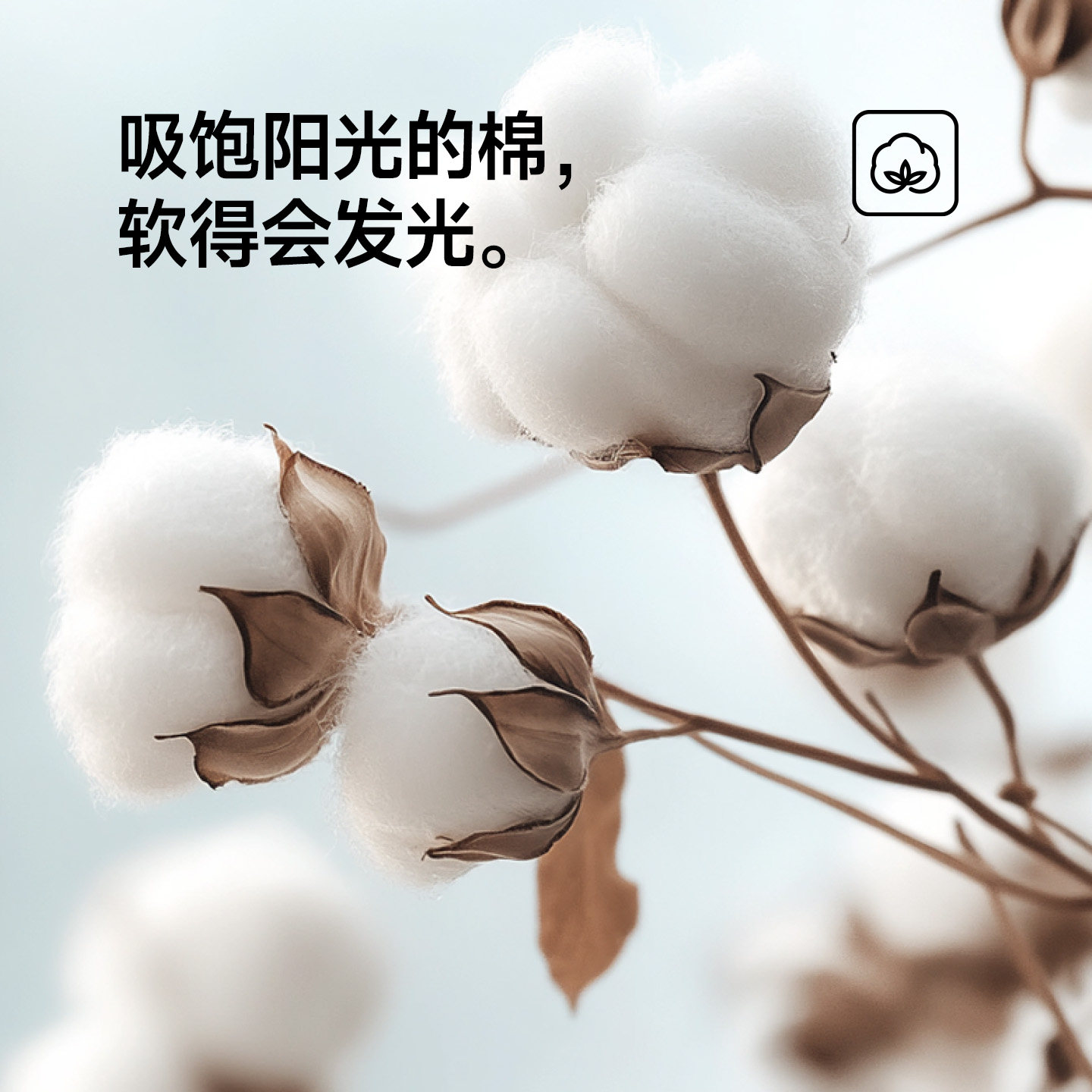 最生活密封毛巾2026新款全棉洗脸纯棉家用男女吸水抗菌面巾