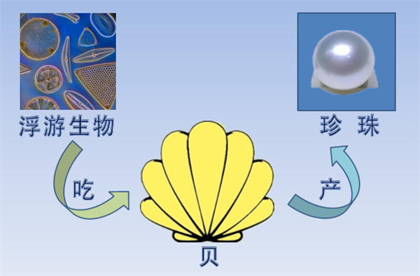 温排水利用示意图
