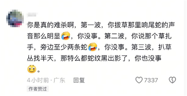 网友被AI骗去毒蛇窝徒步：三次与响尾蛇擦肩而过