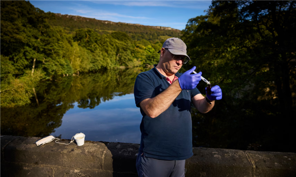 欧洲河可卡因超标致鲑鱼性情大变 像是磕嗨了一般