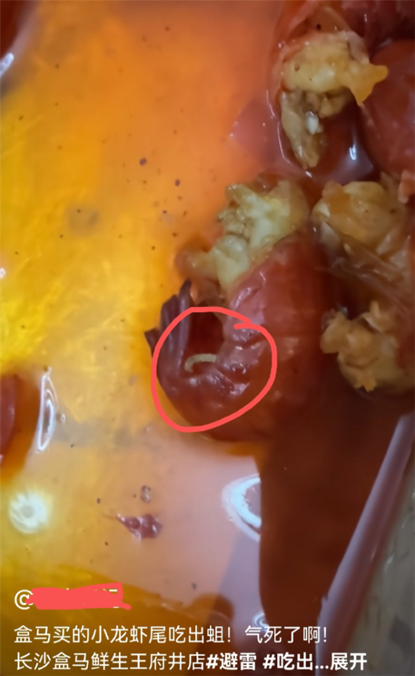 消费者买小龙虾疑吃出蛆虫 盒马回应：已和顾客和解