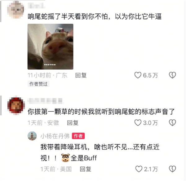 网友被AI骗去毒蛇窝徒步：三次与响尾蛇擦肩而过