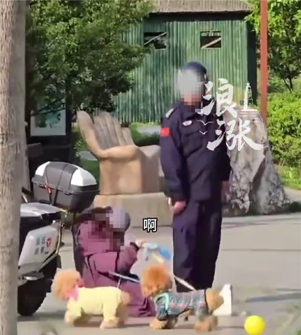 女子景区遛狗不牵绳 保安劝阻后反遭倒地碰瓷