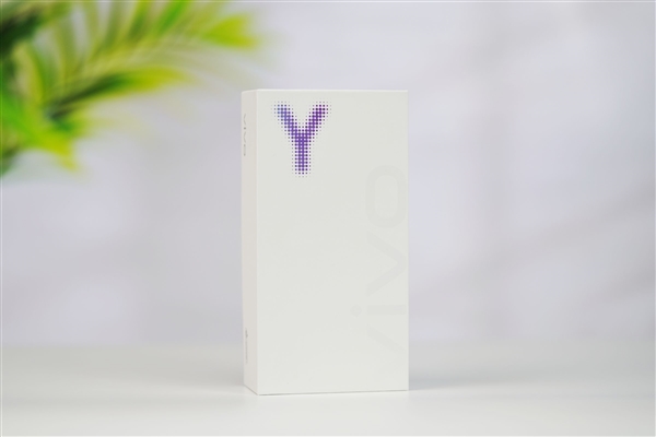 vivo首款万级大电池手机！vivo Y600 Pro图赏
