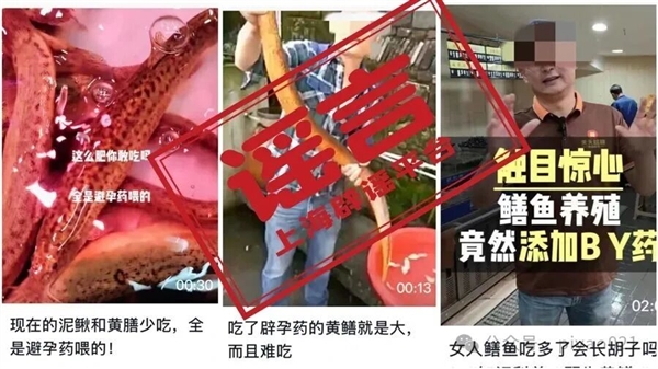 黄鳝在养殖过程中被喂了避孕药？这谣言传30年了