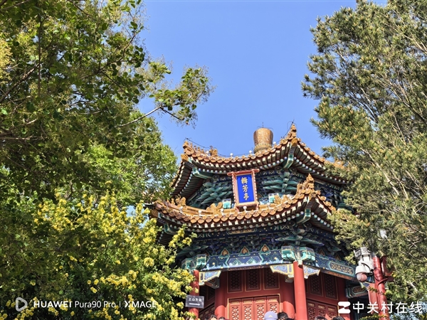 这就是华为最美影像旗舰！Pura 90 Pro上手