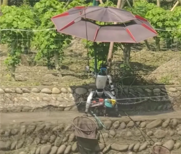 起猛了！成都鱼塘惊现机器人钓鱼 公司回应：鱼是提前挂上的