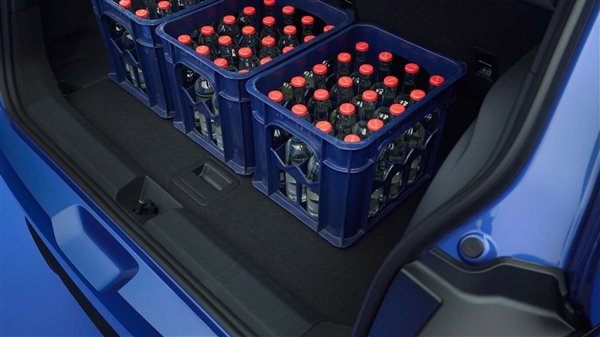 经典小车电动化重生 大众ID.Polo正式发布：实体按键管够！