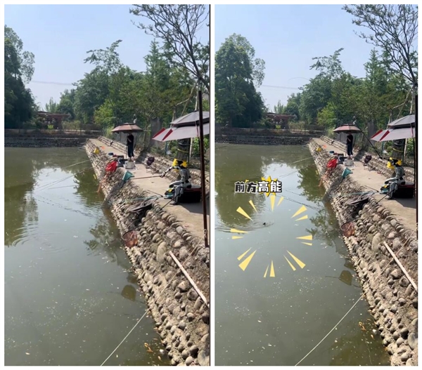 机器人与人类互动