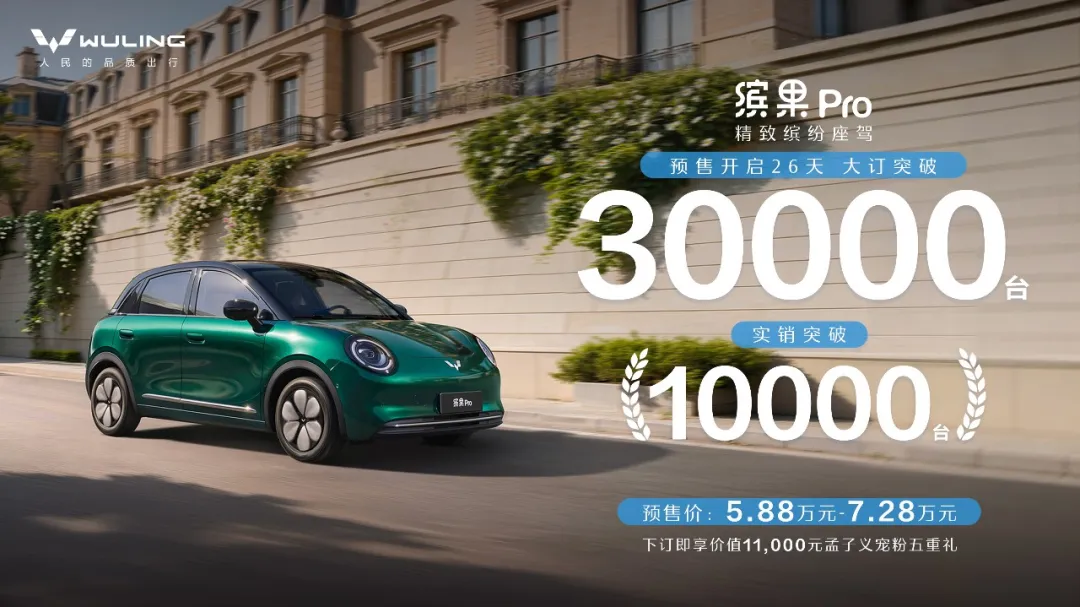 五菱缤果 Pro