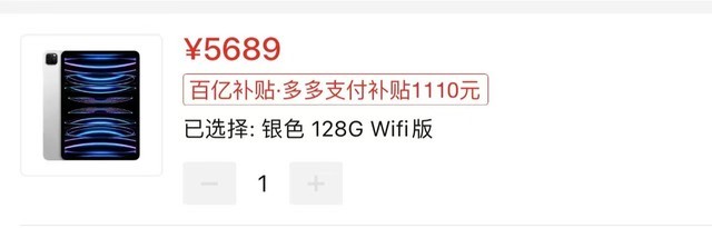 iPad mini 6 握持展示