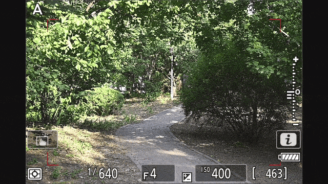 尼康 Z 8 人物自动识别对焦（人物占比较小）