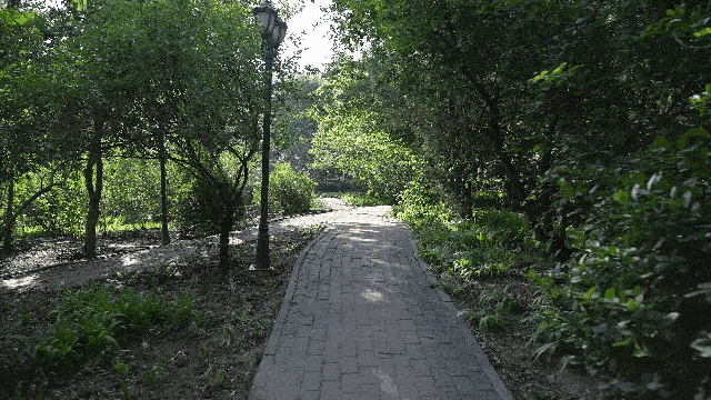 尼康Z 8手持视频拍摄防抖测试（关闭防抖）