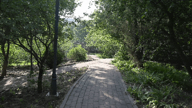 尼康Z 8手持视频拍摄防抖测试（开启普通防抖）