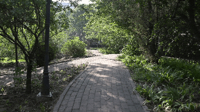 尼康Z 8手持视频拍摄防抖测试（开启运动防抖）