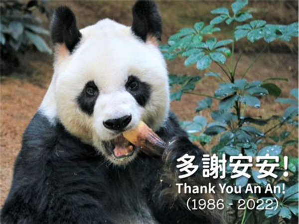 这些动物寿命都比人类长 乌龟都比不了！