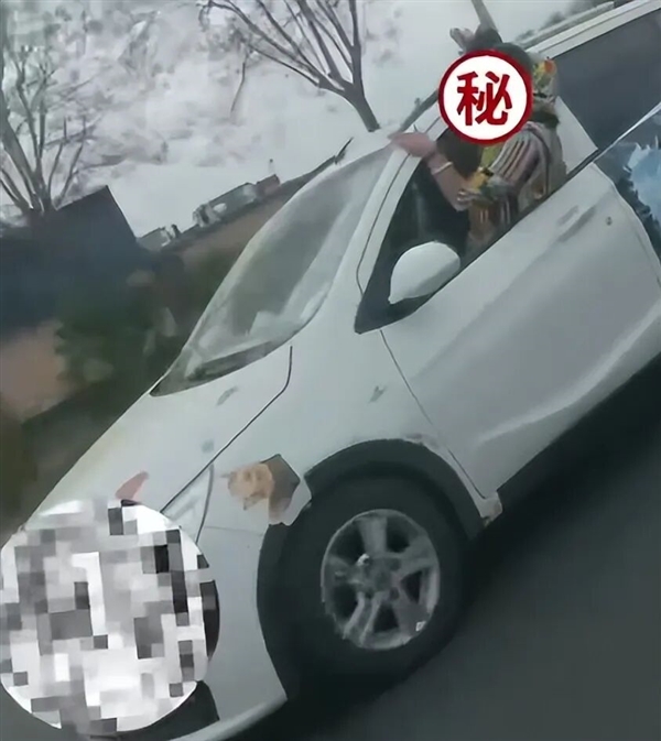 女子开车半个身子探出窗外吓坏旁车！交警回应称该女子存精神异常