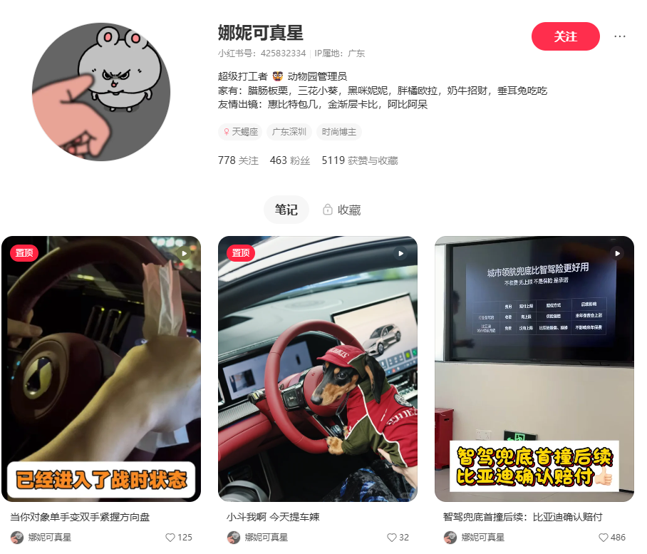 比亚迪城市领航兜底首例赔付落地:24 小时内完成技术判定,腾势 Z9GT 事故获确认