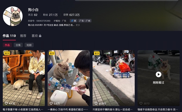 小狗靠捡瓶子攒10万 主人回应：大部分来自短视频收益