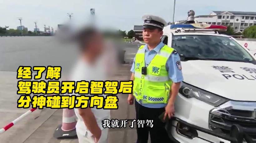 辅助驾驶场景示意图