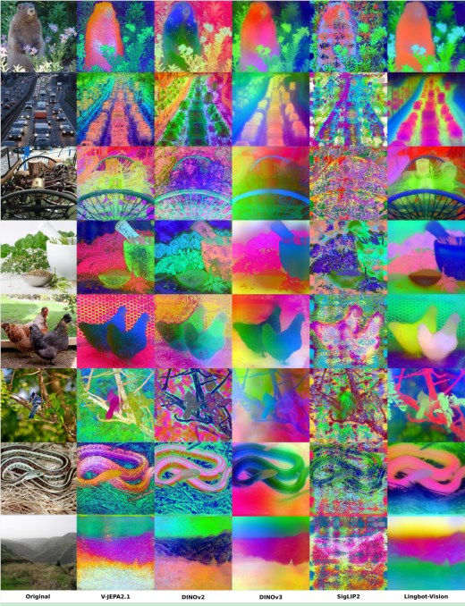 与主流视觉基础模型相比,LingBot-Vision对物体边界和空间结构的识别更清晰、更稳定 与主流视觉基础模型相比,LingBot-Vision对物体边界和空间结构的识别更清晰、更稳定