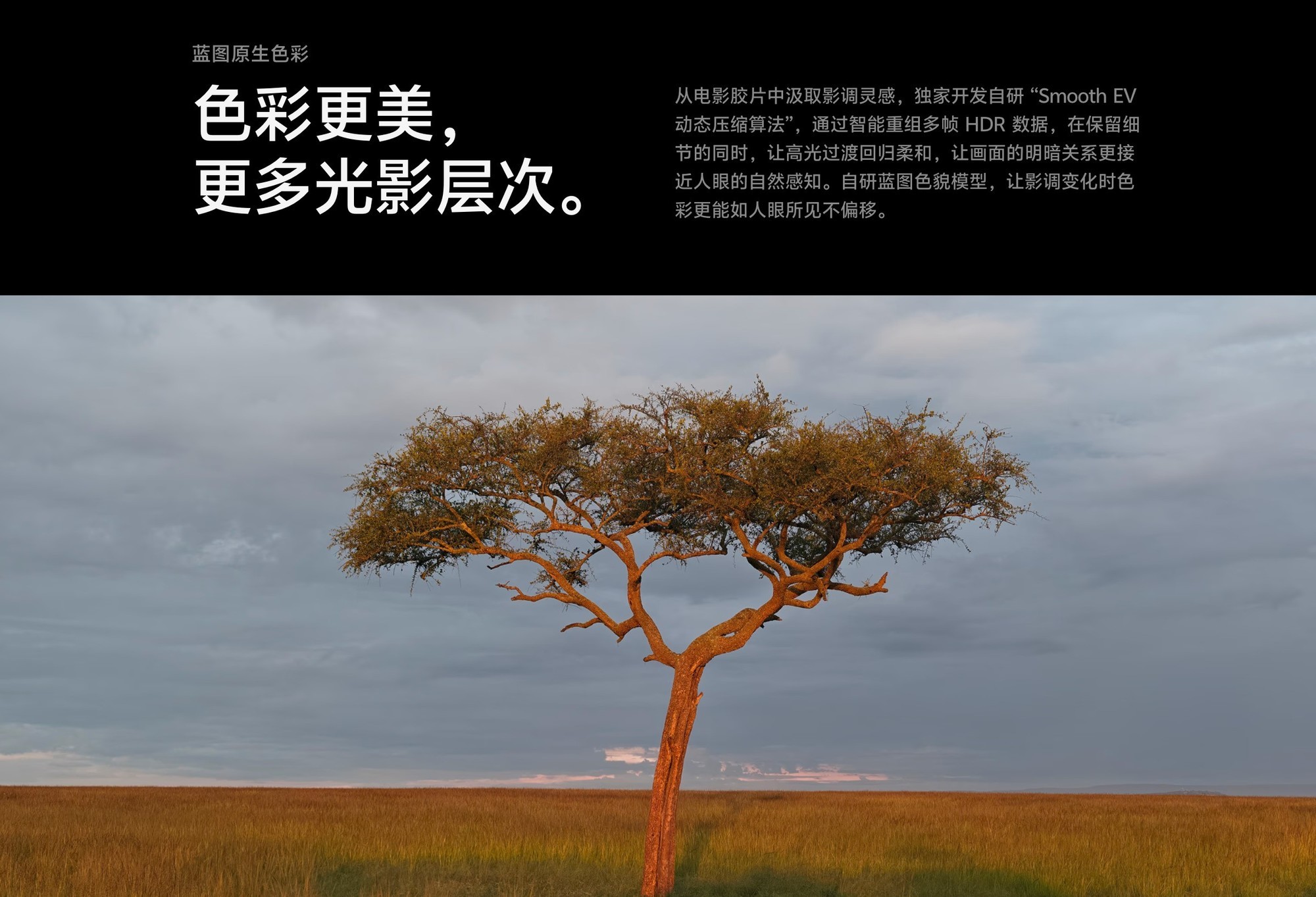 手机厂造Pocket相机,真能搞出新花活儿?