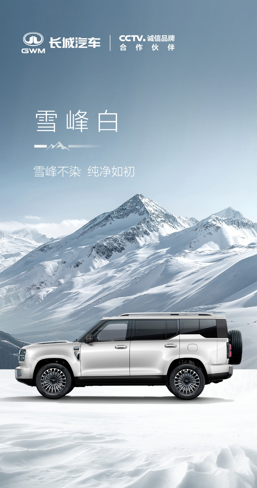 长城 H10 车身尺寸